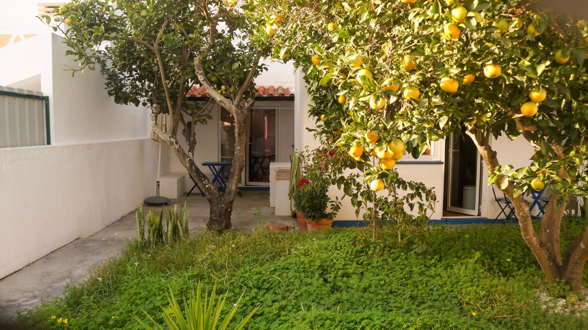 Lemon Tree House By Stay In Alentejo Vila Nova de Milfontes Exterior photo